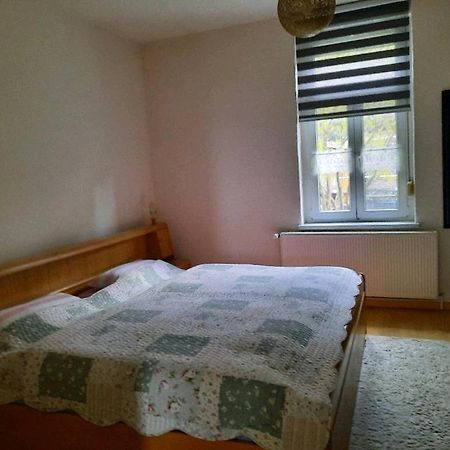 Ferienwohnung Emilia Gernrode  Esterno foto
